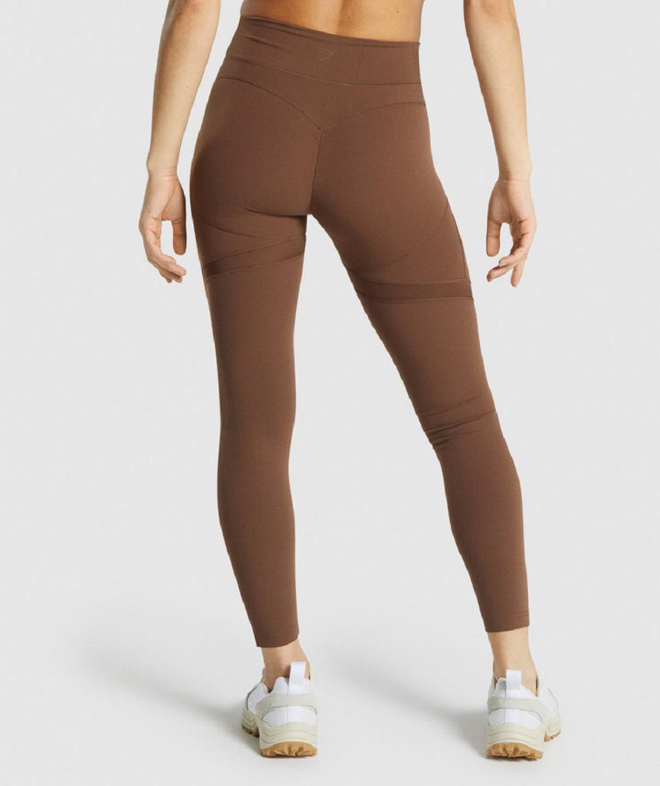 Legginsy Damskie Gymshark Whitney Mesh Brązowe | PL 2236BEX